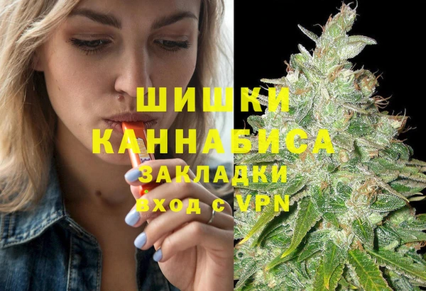 PSILOCYBIN Каменногорск