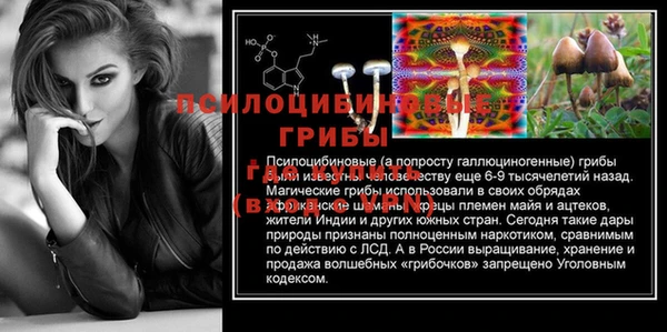 mdpv Осинники