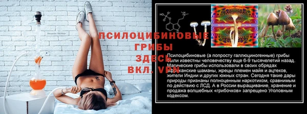 гашик Нягань