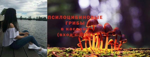 mdpv Осинники