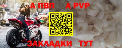 стафф Донецк