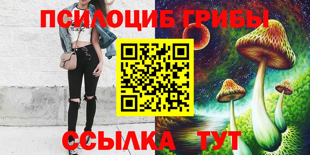 Псилоцибиновые грибы GOLDEN TEACHER  Вход с VPN  Псилоцибиновые грибы Magic Shrooms  Морозовск 