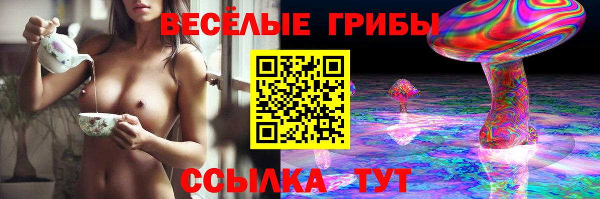 Псилоцибиновые грибы прущие грибы Морозовск